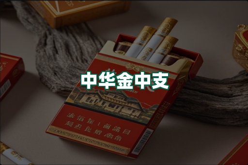 中华金中支